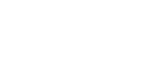 Efin